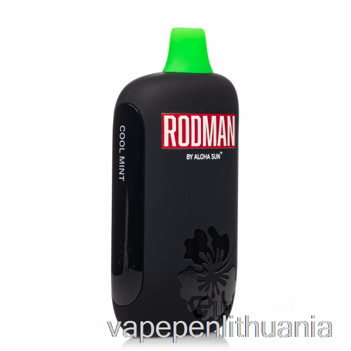 Rodman 9100 Vienkartinis šaltas Mėtų Vape Skystis